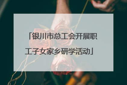 银川市总工会开展职工子女家乡研学活动